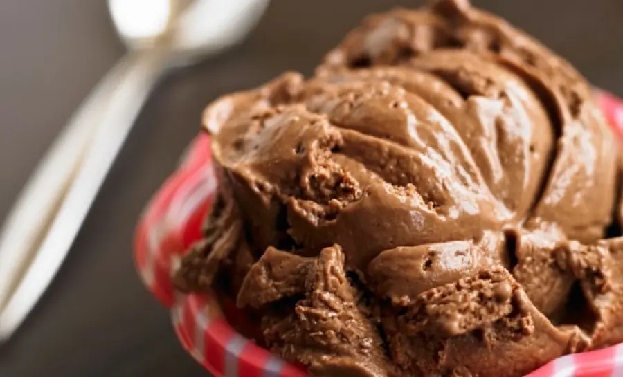 Gelato vegano, ingredienti e gusto