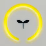 Cosa cura la camera iperbarica: una panoramica su tutte le patologie trattabili