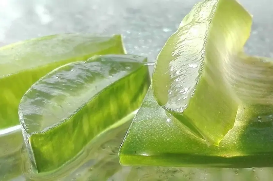 Aloe vera e igiene intima: prendersi cura di se stessi in modo naturale