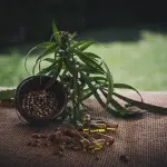 CBD: quali sono le sue applicazioni pratiche?